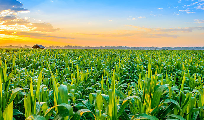 ��ɭ���z��ͨ���